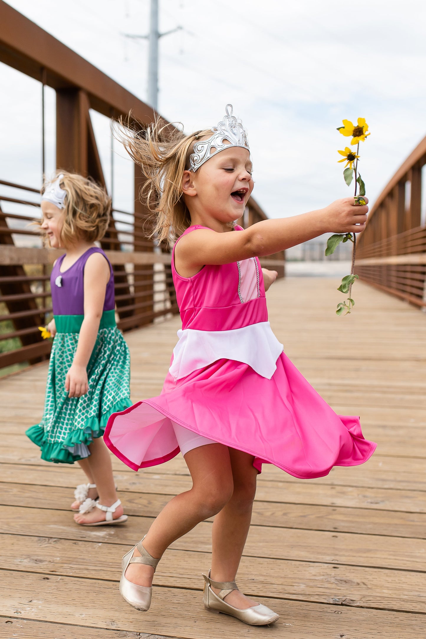 Sleeping Beauty Twirl Dress