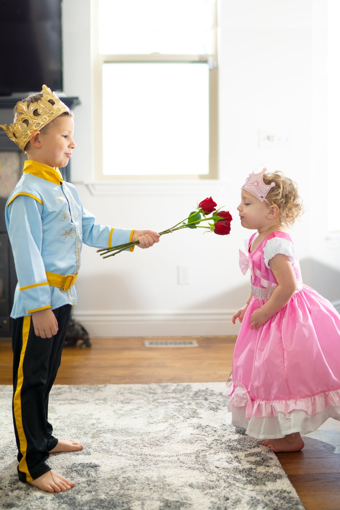 Cinderella Ball Gown