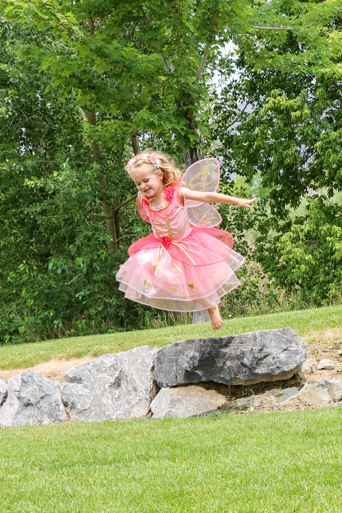 Butterfly Fairy