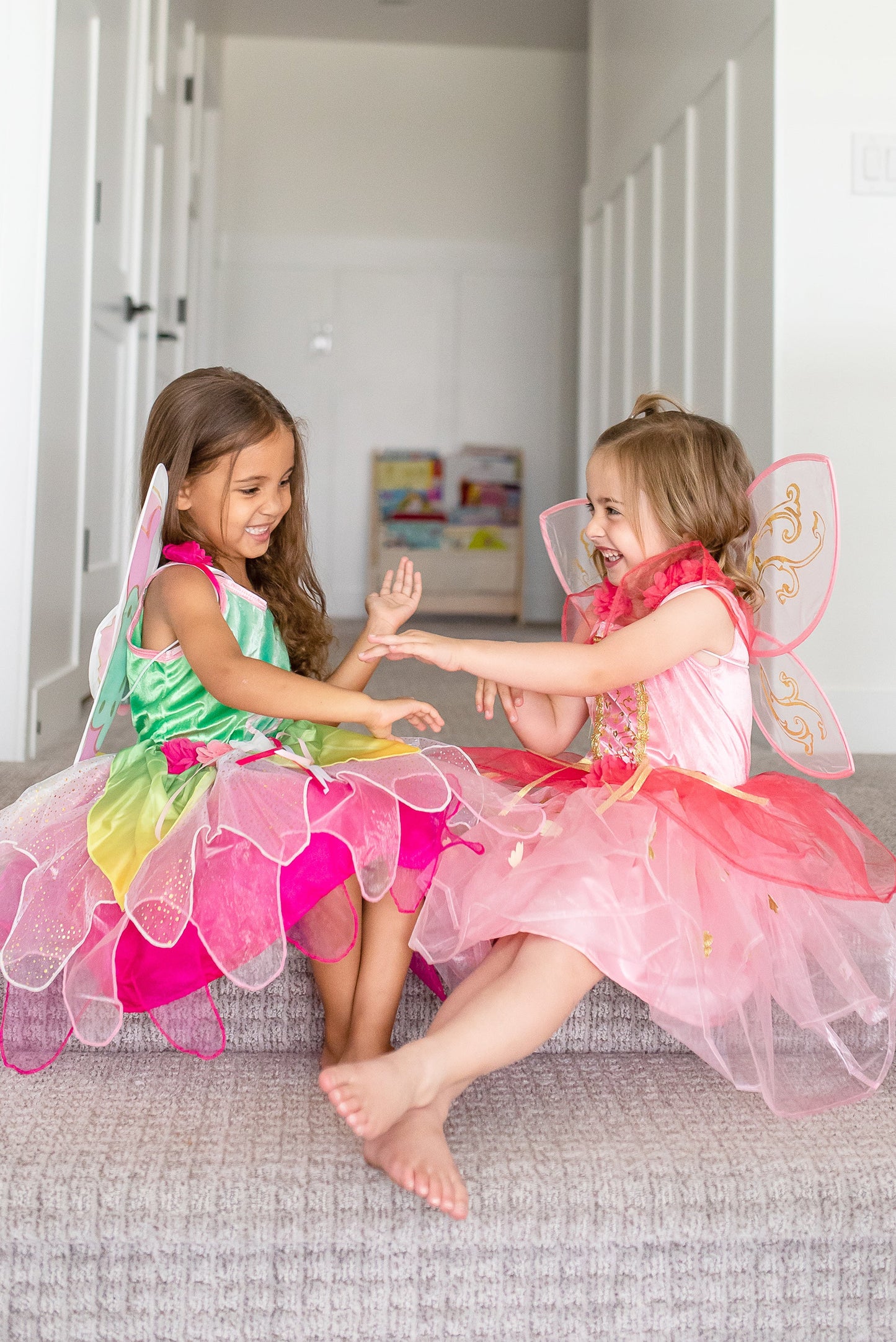 Butterfly Fairy Wings