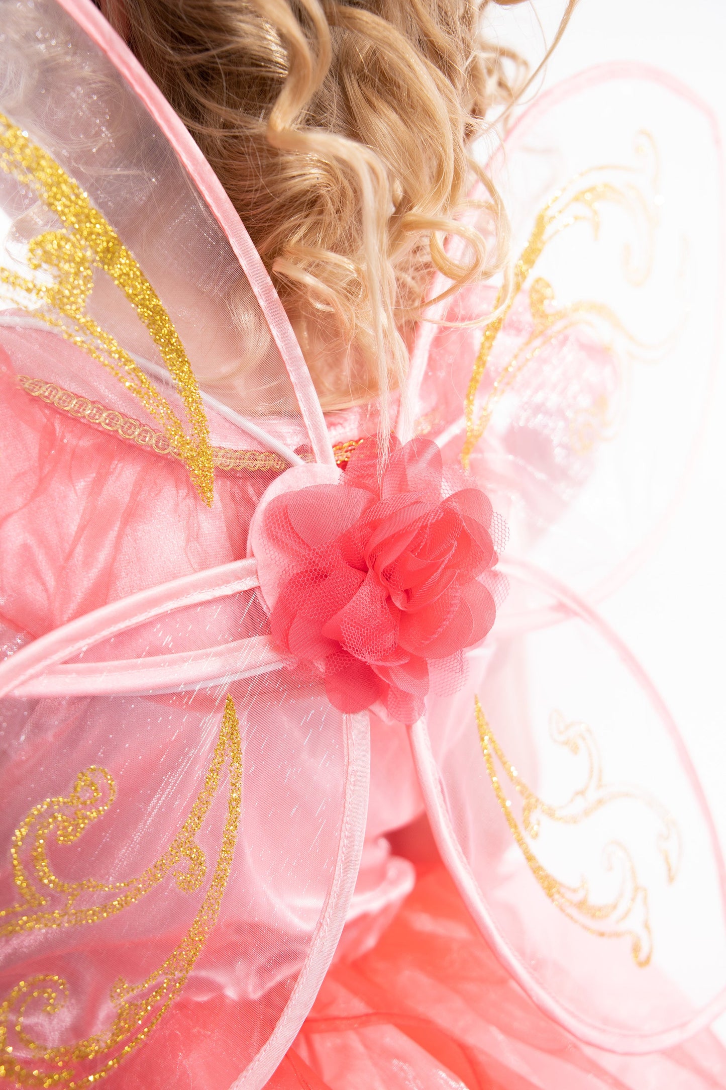 Butterfly Fairy Wings