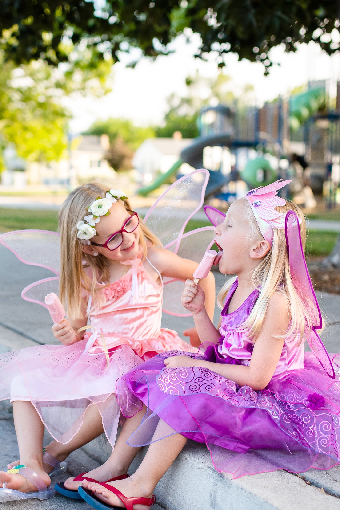 Rose Garden Fairy Wings