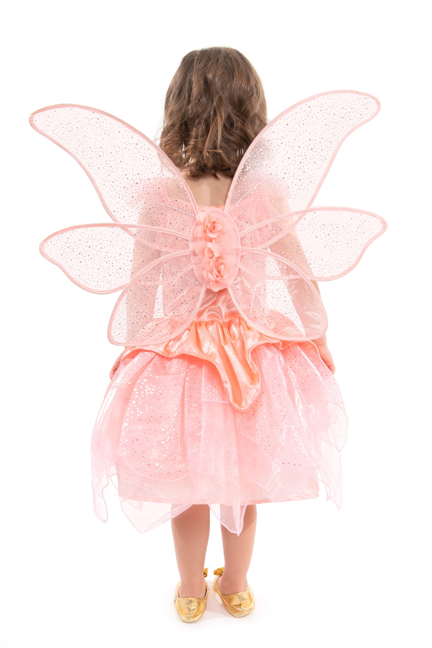 Rose Garden Fairy Wings