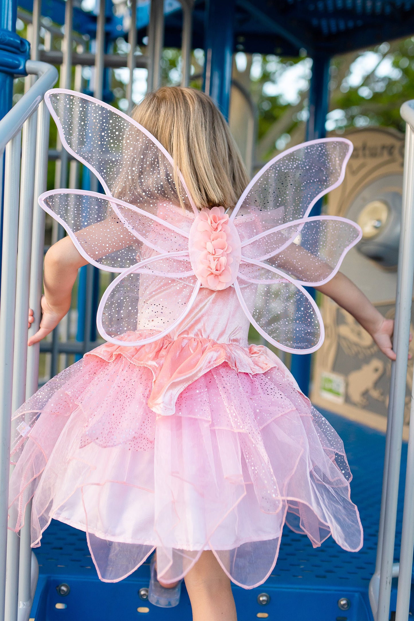 Rose Garden Fairy Wings