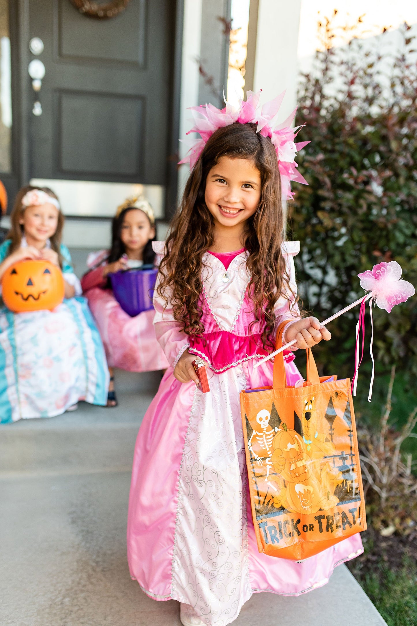 Sleeping Beauty Dress