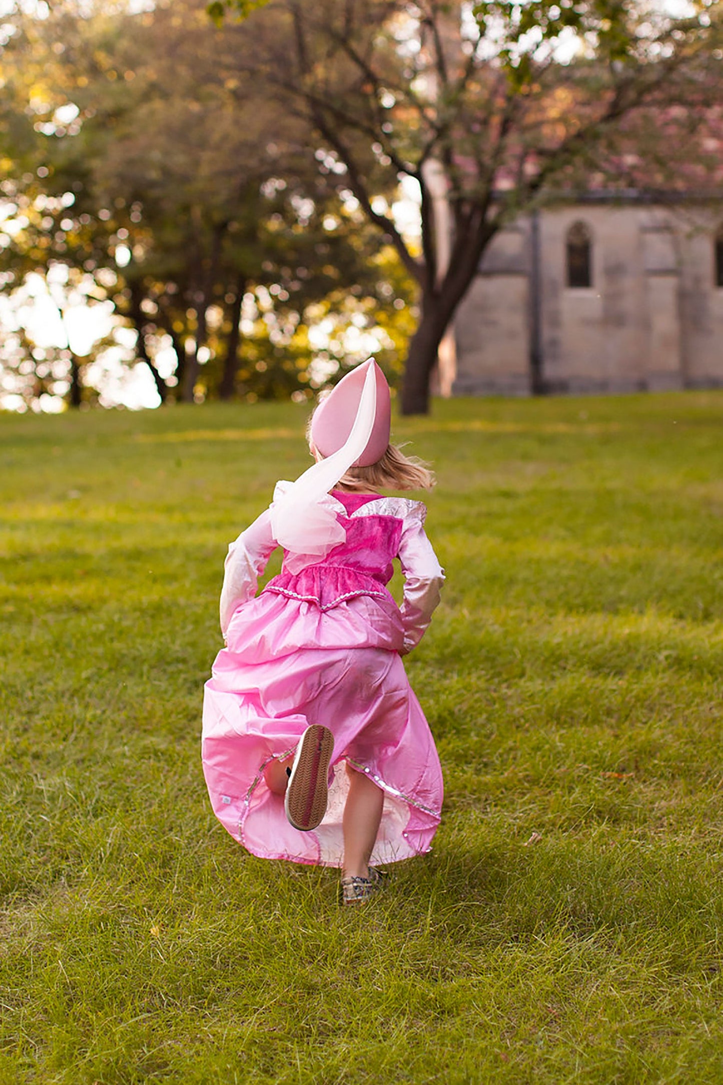 Sleeping Beauty Dress