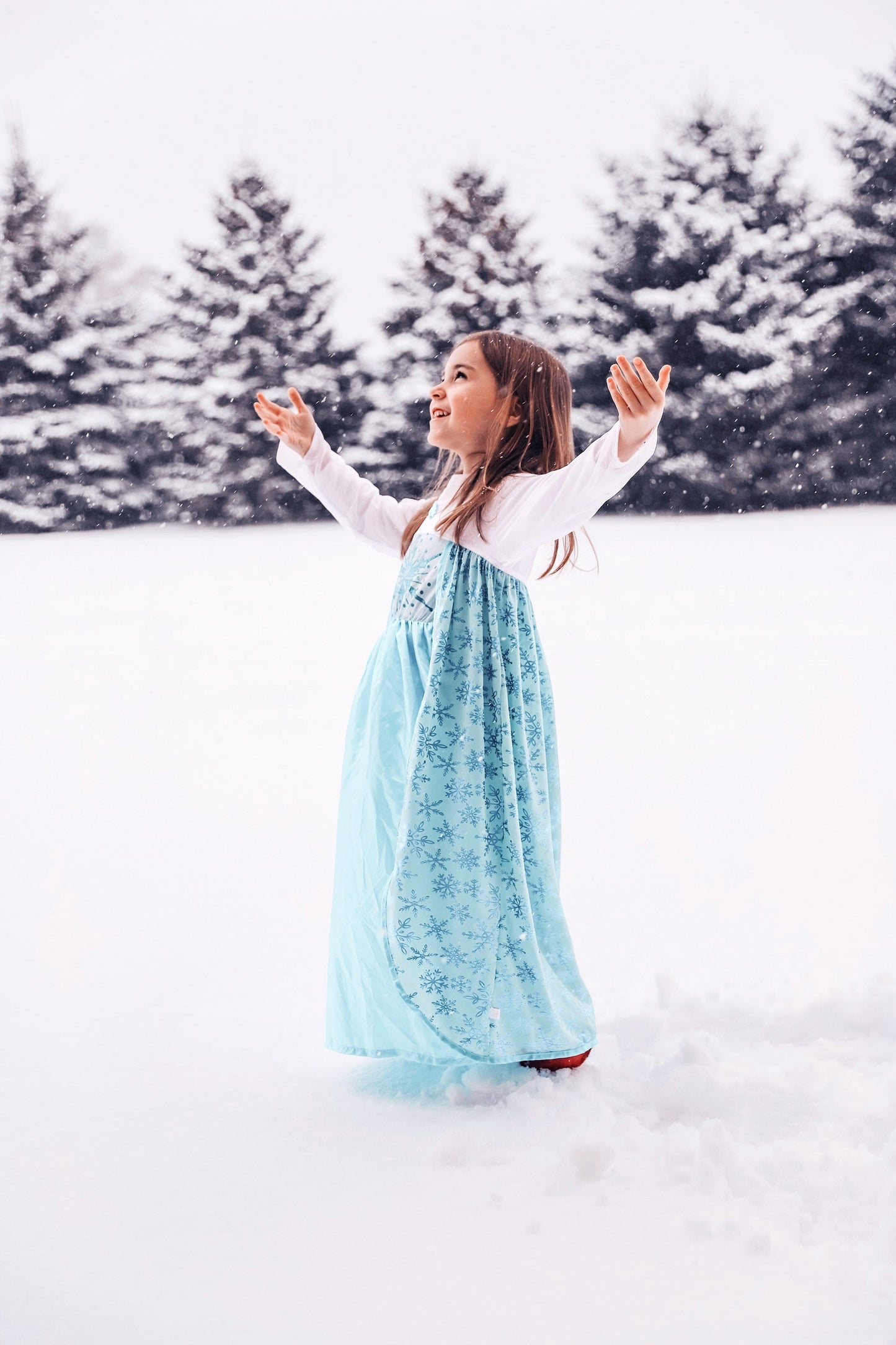 Princesse des glaces