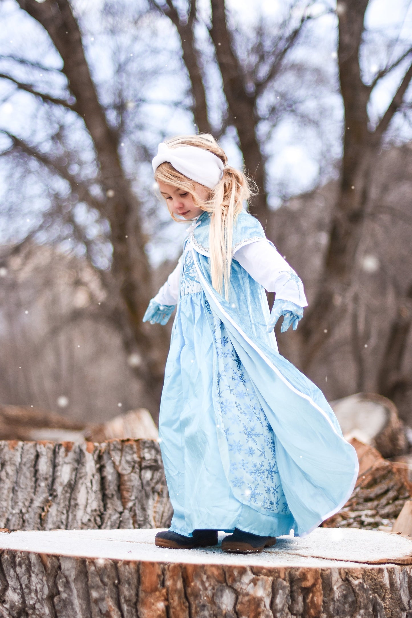 Princesse des glaces