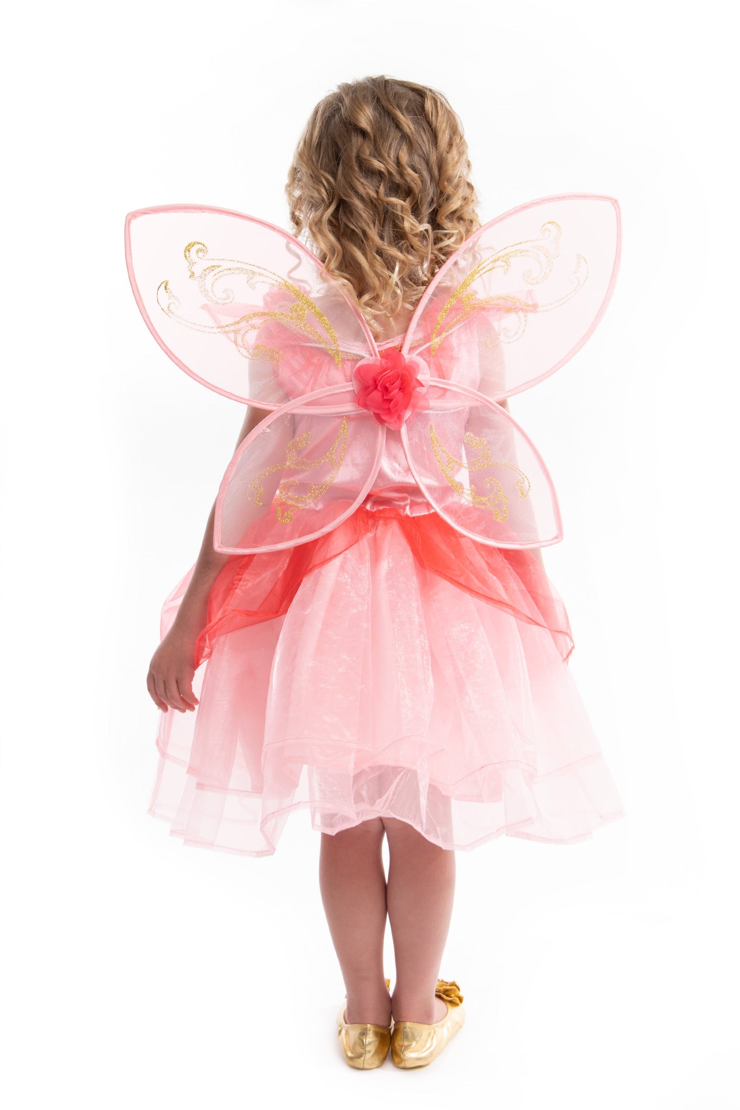 Ailes de fée papillon