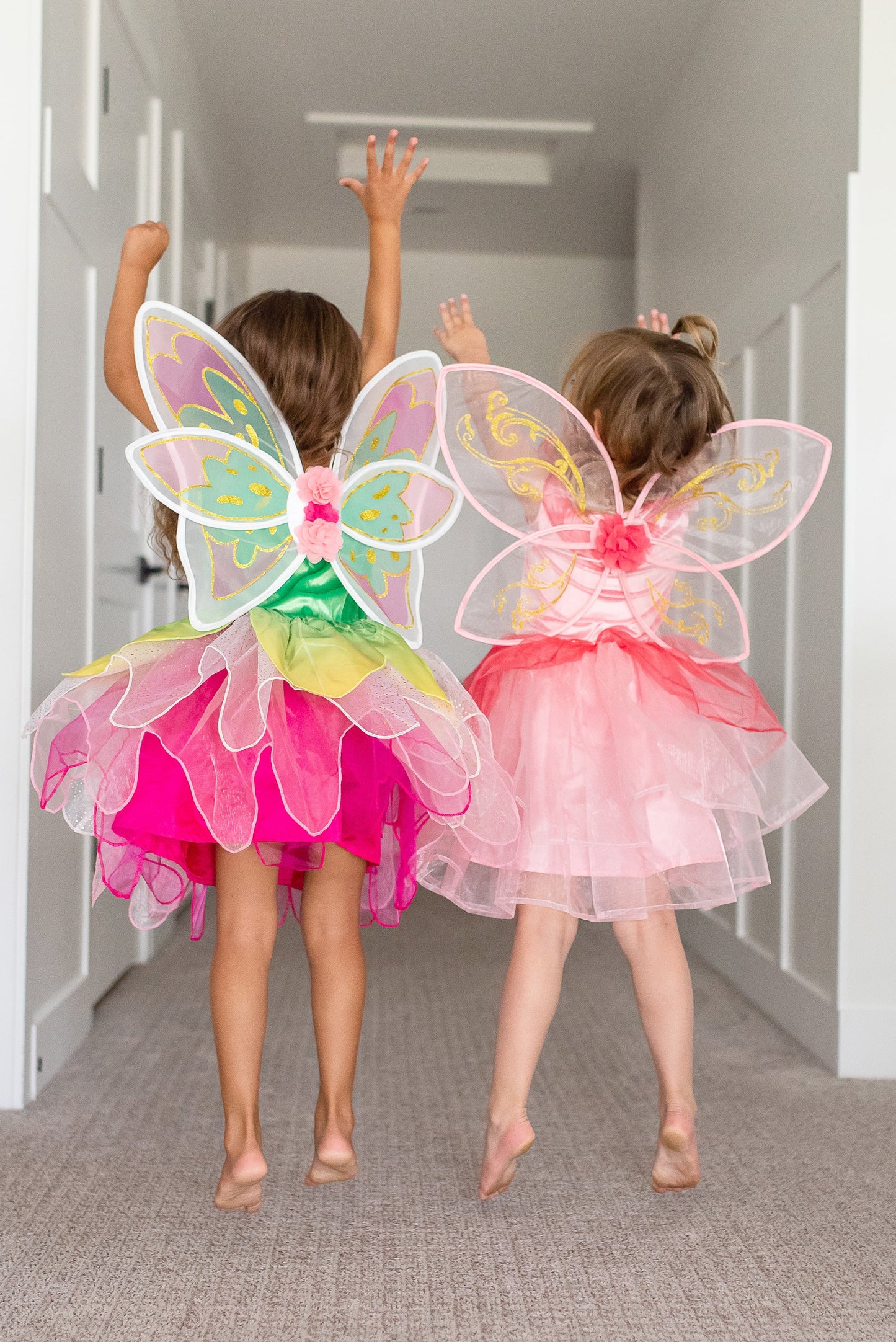 Ailes de fée papillon